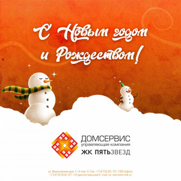 С Новым годом и Рождеством!